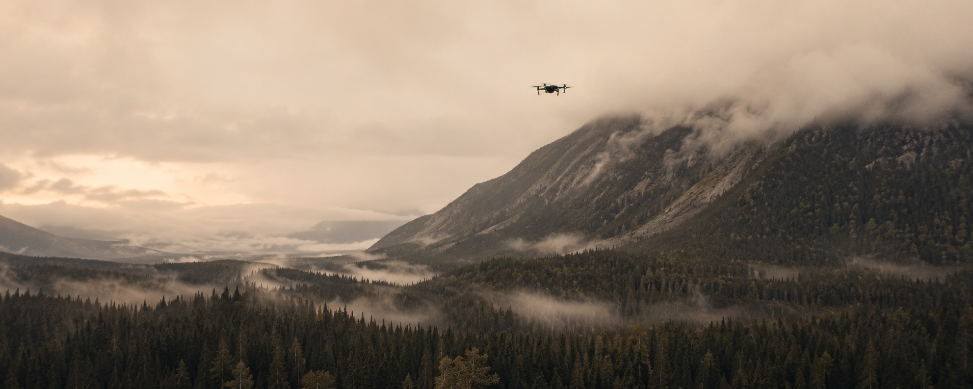 Search & Rescue